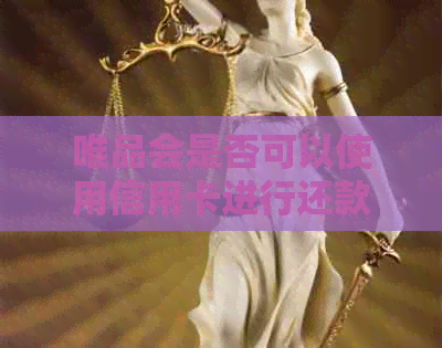 唯品会是否可以使用信用卡进行还款？安全吗？