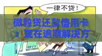微粒贷还款信用卡：现在逾期解决方案及资讯