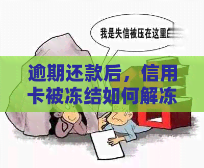 逾期还款后，信用卡被冻结如何解冻和处理？