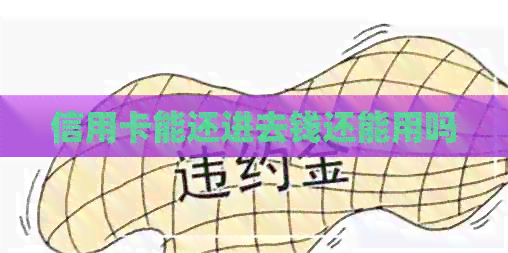 信用卡能还进去钱还能用吗