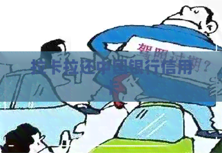 拉卡拉还中国银行信用卡