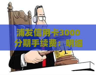 浦发信用卡3000分期手续费：明细、标准及计算方式