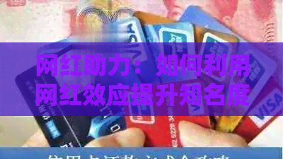 网红助力：如何利用网红效应提升知名度、增加销售额并吸引更多粉丝？