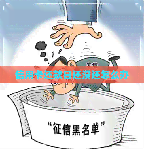 信用卡还款日还没还怎么办