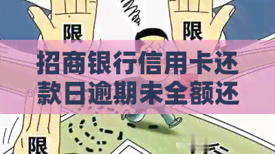 招商银行信用卡还款日逾期未全额还款的解决策略