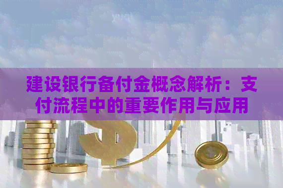 建设银行备付金概念解析：支付流程中的重要作用与应用