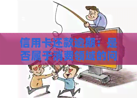 信用卡还款逾期：是否属于消费领域的问题探讨