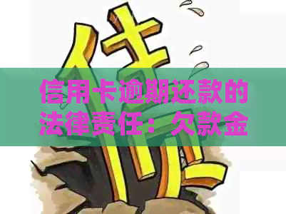 信用卡逾期还款的法律责任：欠款金额与起诉风险探析