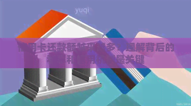 信用卡还款额越来越多？理解背后的利率和信用机制是关键