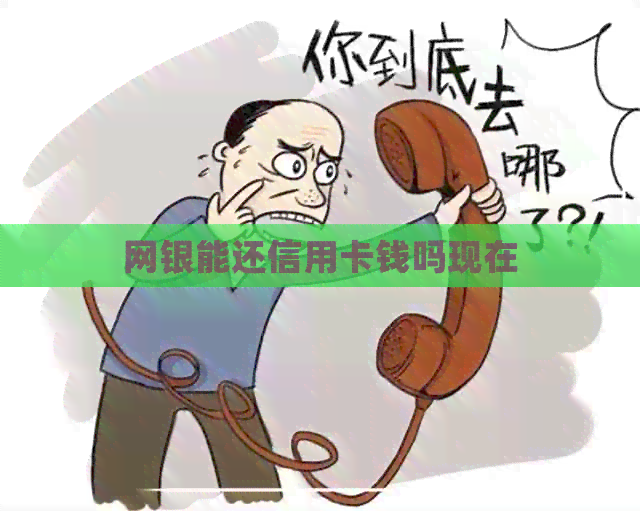 网银能还信用卡钱吗现在