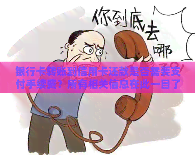 银行卡转账到信用卡还款是否需要支付手续费？所有相关信息在此一目了然！