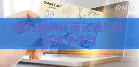 建行如何还美元账户的信用卡还款