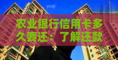 农业银行信用卡多久要还：了解还款周期和次数以避免逾期。
