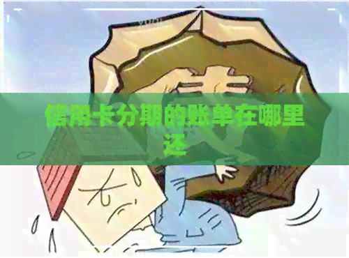 信用卡分期的账单在哪里还