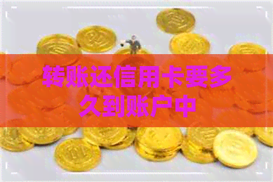 转账还信用卡要多久到账户中