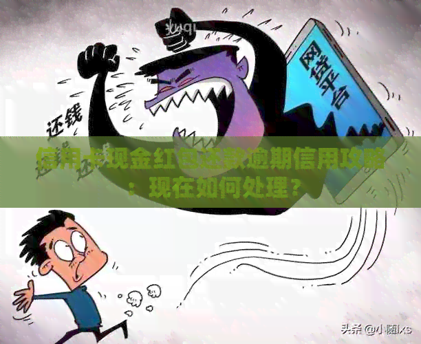 信用卡现金红包还款逾期信用攻略：现在如何处理？