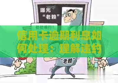 信用卡逾期利息如何处理：理解违约金罚息的必要性与应对策略