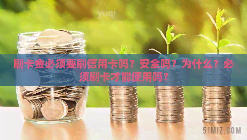 刷卡金必须要刷信用卡吗？安全吗？为什么？必须刷卡才能使用吗？