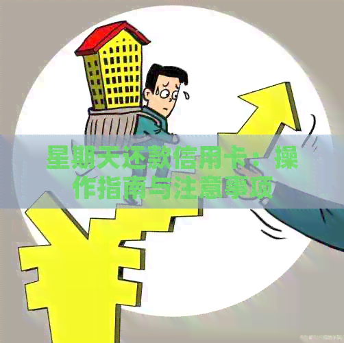 星期天还款信用卡：操作指南与注意事项
