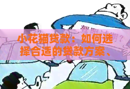 小花猫贷款：如何选择合适的贷款方案、利率和还款期限？全面解答用户疑问