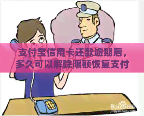 支付宝信用卡还款逾期后，多久可以解除限额恢复支付自由？