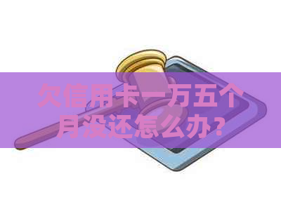 欠信用卡一万五个月没还怎么办？