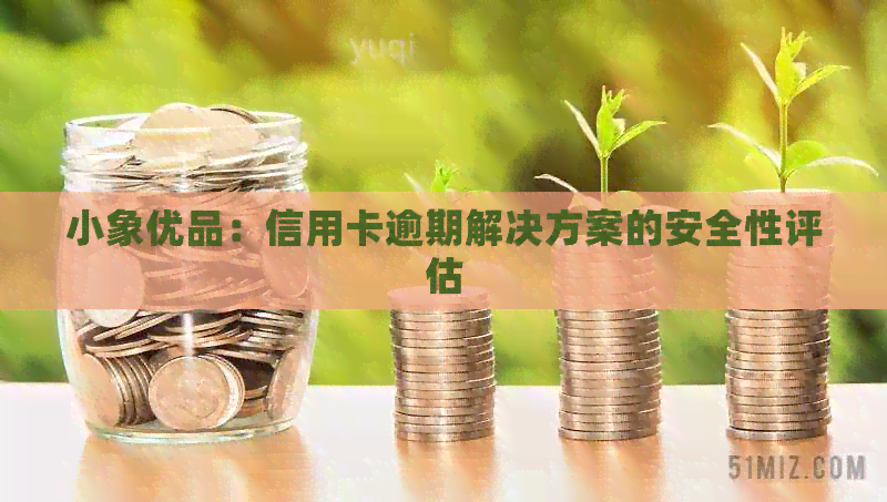 小象优品：信用卡逾期解决方案的安全性评估