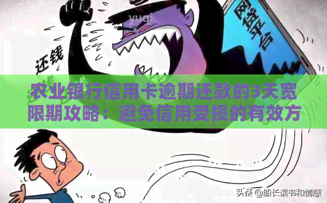 农业银行信用卡逾期还款的3天宽限期攻略：避免信用受损的有效方法