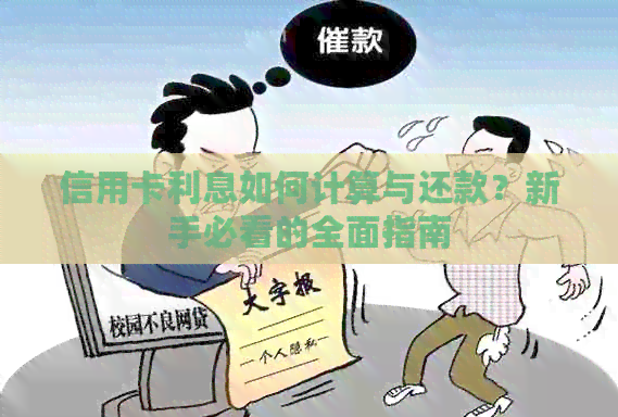 信用卡利息如何计算与还款？新手必看的全面指南