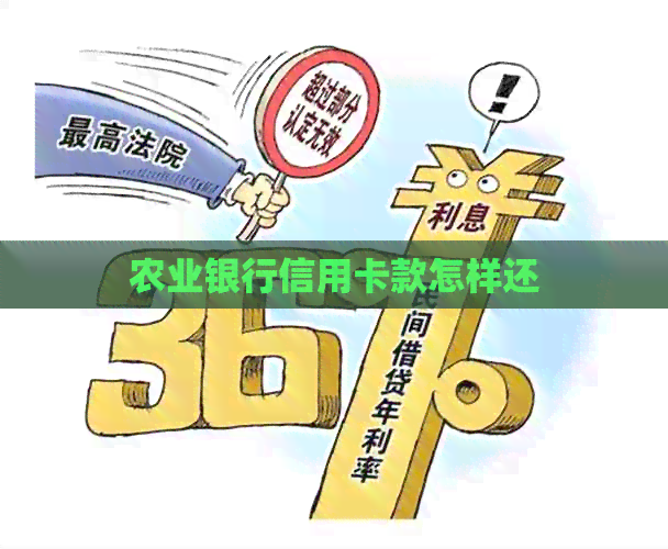 农业银行信用卡款怎样还