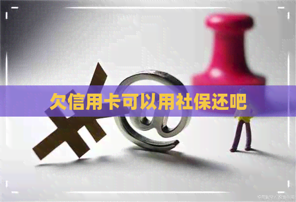 欠信用卡可以用社保还吧