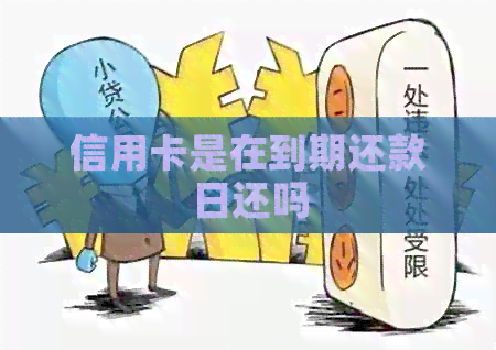 信用卡是在到期还款日还吗