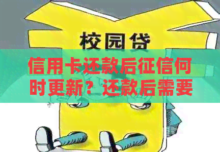 信用卡还款后何时更新？还款后需要等待多久才能查看信用报告？