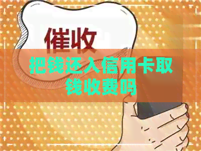 把钱还入信用卡取钱收费吗