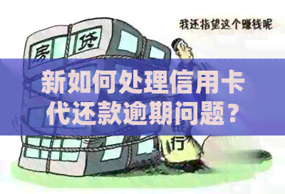 新如何处理信用卡代还款逾期问题？