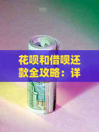 信用卡和网贷还款全攻略：详细步骤、逾期处理及期还款方法一文解析