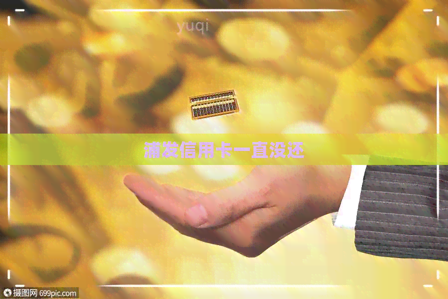 浦发信用卡一直没还
