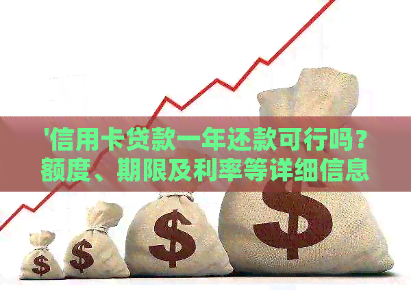 '信用卡贷款一年还款可行吗？额度、期限及利率等详细信息'