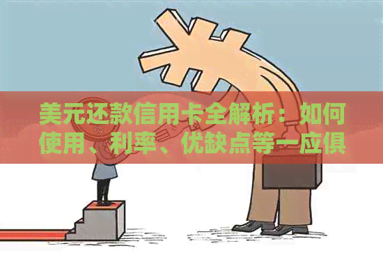 美元还款信用卡全解析：如何使用、利率、优缺点等一应俱全