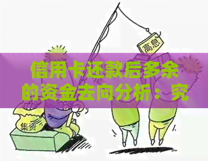 信用卡还款后多余的资金去向分析：究竟是如何处理的？