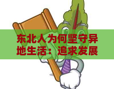 东北人为何坚守异地生活：追求发展与个人价值