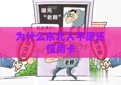 为什么东北人不愿还信用卡
