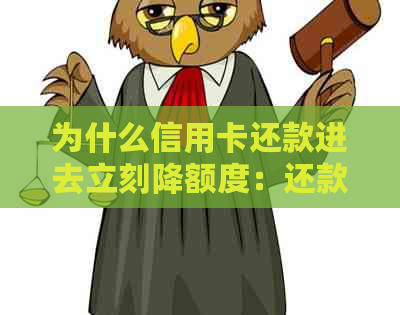 为什么信用卡还款进去立刻降额度：还款后额度未恢复原因解析