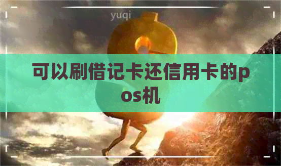 可以刷借记卡还信用卡的pos机