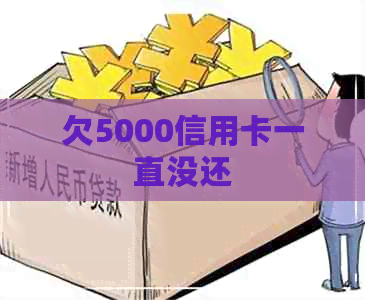 欠5000信用卡一直没还