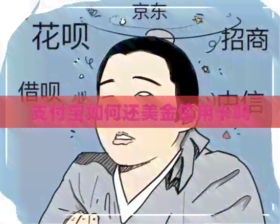 支付宝如何还美金信用卡吗