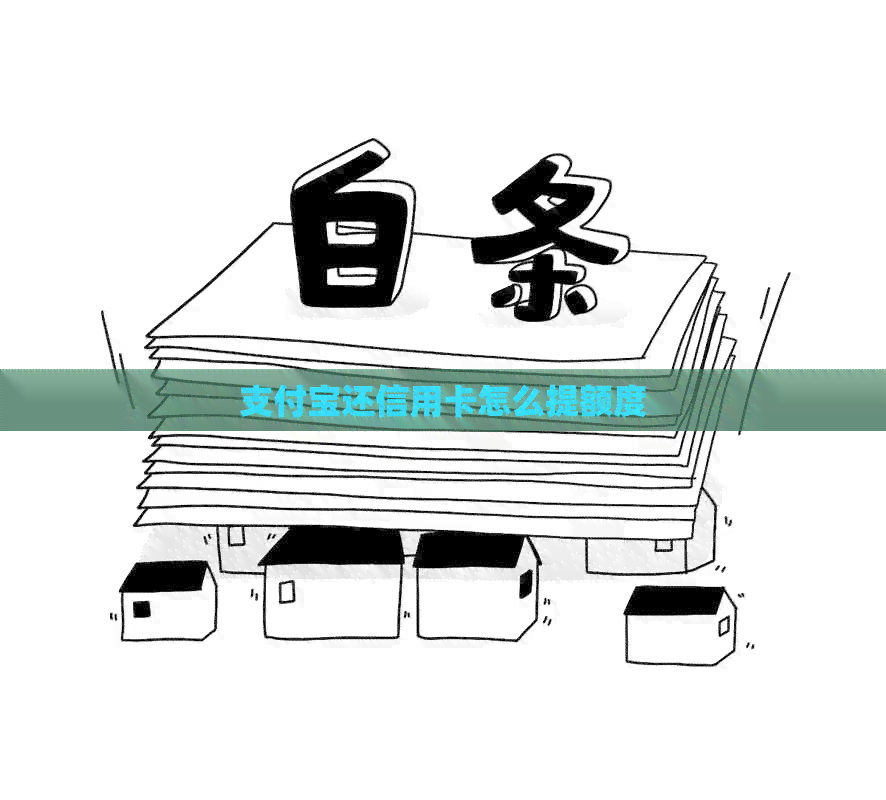 支付宝还信用卡怎么提额度