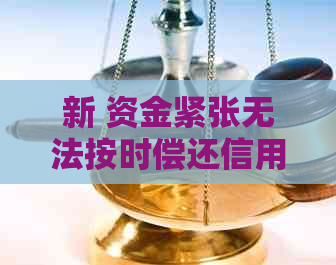 新 资金紧张无法按时偿还信用卡欠款，会产生哪些后果？