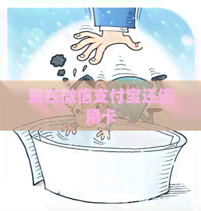 现在微信支付宝还信用卡