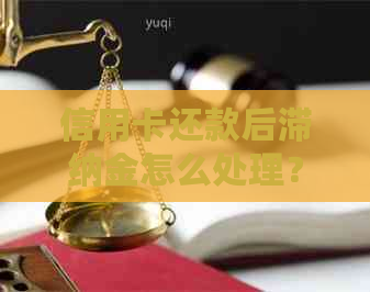 信用卡还款后滞纳金怎么处理？详细攻略教你如何避免和解决这个问题